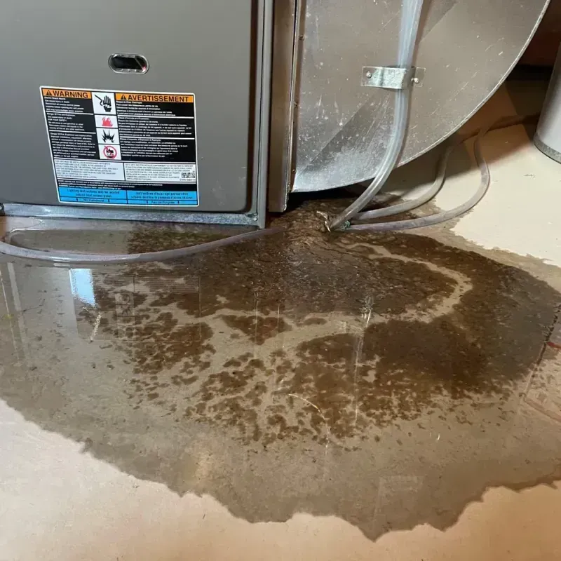 Appliance Leak Cleanup in Galeville, NY